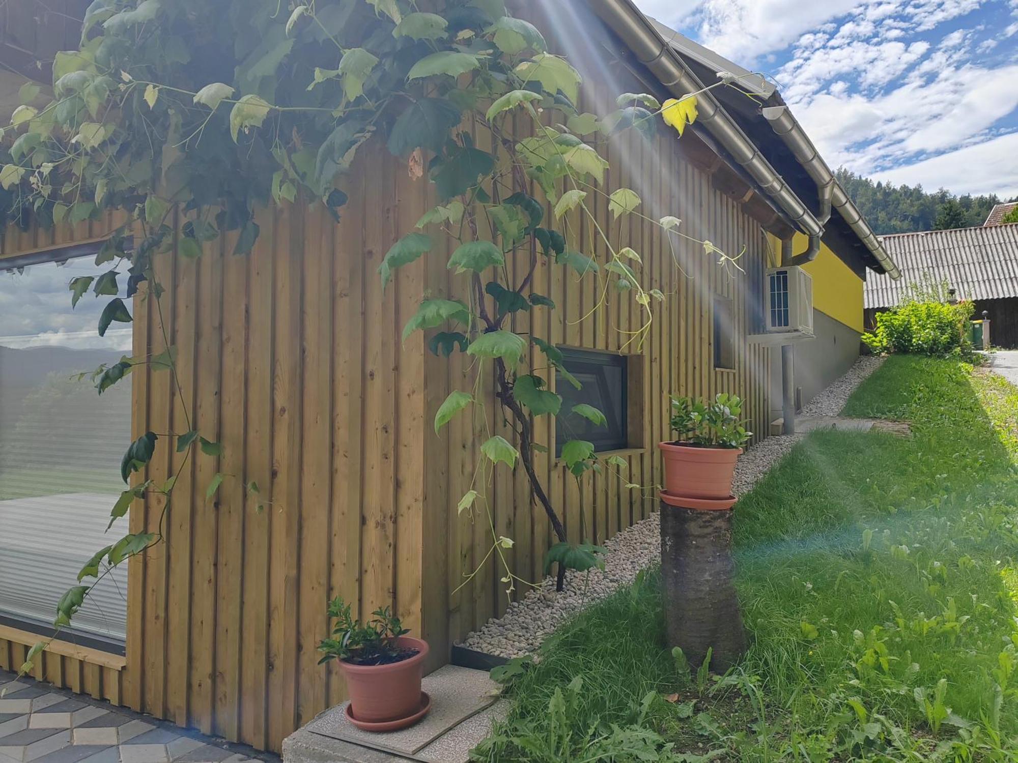 Appartement Honey House *